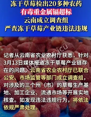冻干草莓重金属超标